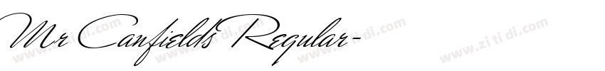 Mr Canfields Regular字体转换